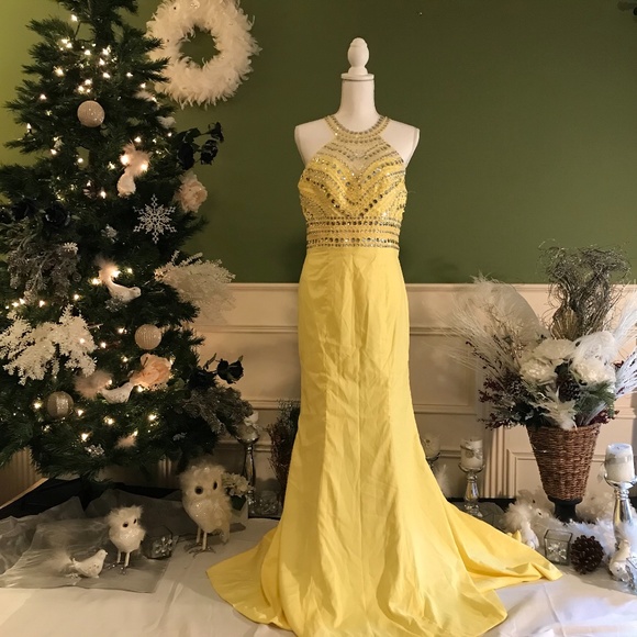 Dresses & Skirts - Formal evening Prom dress gown